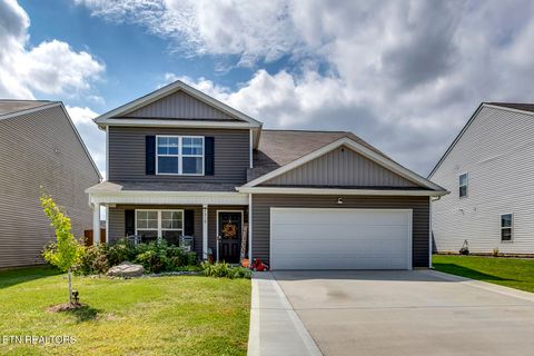 7519 Game Bird St Corryton TN 37721