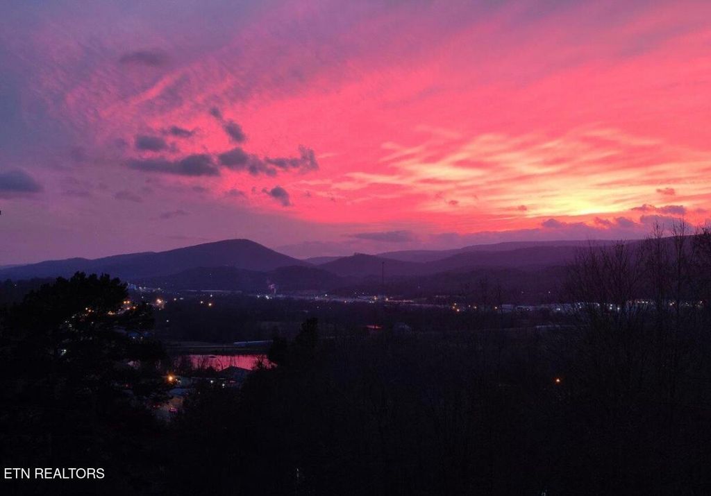 Photo of 203 Meadow Green Lane, Dayton, TN 37321 (MLS # 1309500)