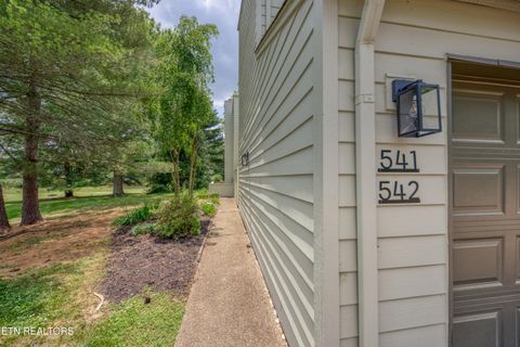 Tiny photo for 541 Lost Tree Lane, Knoxville, TN 37934 (MLS # 1341946)