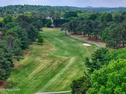 Tiny photo for 541 Lost Tree Lane, Knoxville, TN 37934 (MLS # 1341946)