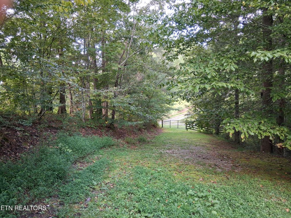 Photo of Fugate Rd, Del Rio, TN 37727 (MLS # 1314677)