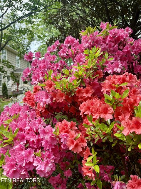 Tiny photo for 3844 Woodhill Place, Knoxville, TN 37919 (MLS # 1315106)