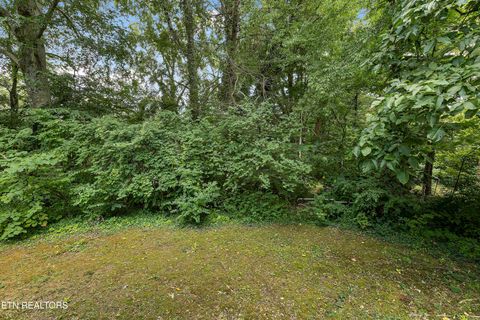 Tiny photo for 3844 Woodhill Place, Knoxville, TN 37919 (MLS # 1315106)