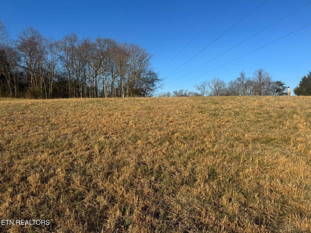 Photo of 2 Whittle Rd, New Market, TN 37820 (MLS # 1332767)
