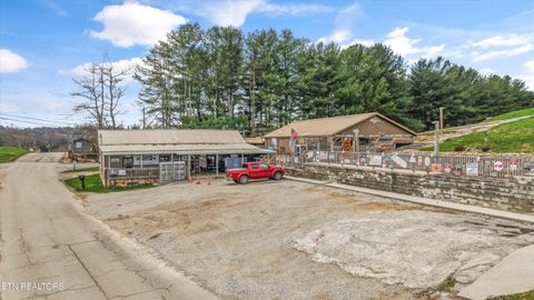 Tiny photo for 1189 Deerfield Way, LaFollette, TN 37766 (MLS # 1334311)