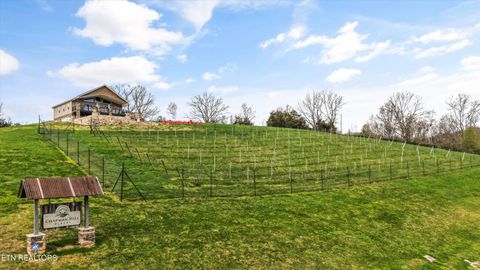 Tiny photo for 1189 Deerfield Way, LaFollette, TN 37766 (MLS # 1334311)