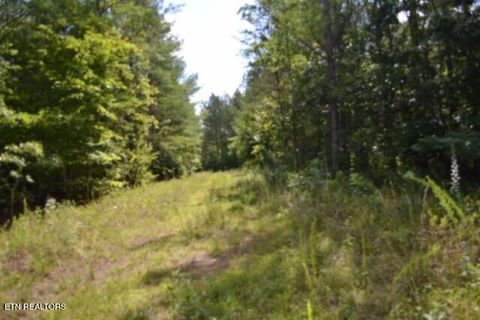 Tiny photo for 318 Rhodas Way Way, Sunbright, TN 37872 (MLS # 1348447)