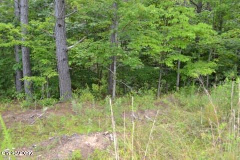 Tiny photo for 318 Rhodas Way Way, Sunbright, TN 37872 (MLS # 1348447)