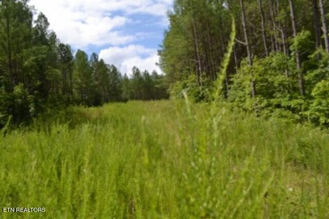 Tiny photo for 318 Rhodas Way Way, Sunbright, TN 37872 (MLS # 1348447)