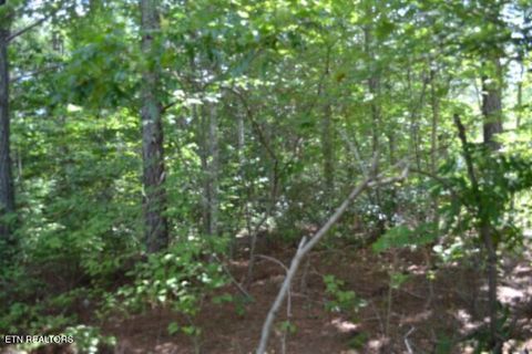 Tiny photo for 318 Rhodas Way Way, Sunbright, TN 37872 (MLS # 1348447)