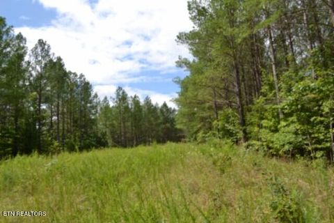 Tiny photo for 318 Rhodas Way Way, Sunbright, TN 37872 (MLS # 1348447)
