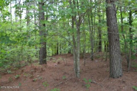 Tiny photo for 318 Rhodas Way Way, Sunbright, TN 37872 (MLS # 1348447)