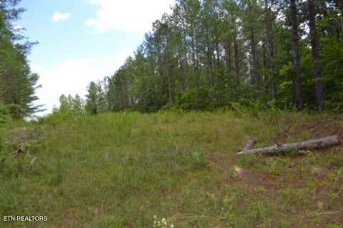 Tiny photo for 318 Rhodas Way Way, Sunbright, TN 37872 (MLS # 1348447)