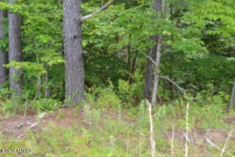 Tiny photo for 318 Rhodas Way Way, Sunbright, TN 37872 (MLS # 1348447)
