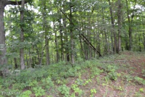 Tiny photo for 318 Rhodas Way Way, Sunbright, TN 37872 (MLS # 1348447)