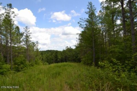 Tiny photo for 318 Rhodas Way Way, Sunbright, TN 37872 (MLS # 1348447)
