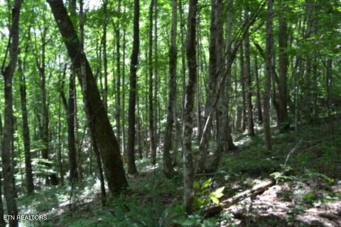 Tiny photo for 318 Rhodas Way Way, Sunbright, TN 37872 (MLS # 1348447)