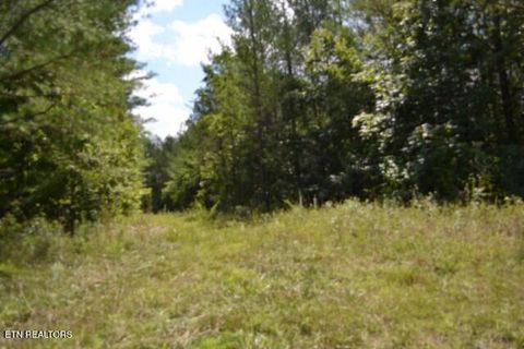 Tiny photo for 318 Rhodas Way Way, Sunbright, TN 37872 (MLS # 1348447)