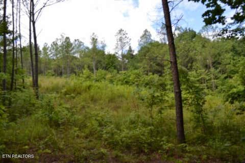 Tiny photo for 318 Rhodas Way Way, Sunbright, TN 37872 (MLS # 1348447)