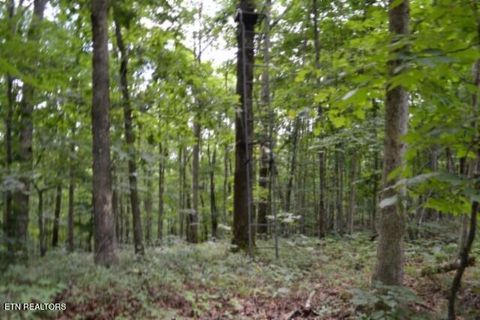 Tiny photo for 318 Rhodas Way Way, Sunbright, TN 37872 (MLS # 1348447)
