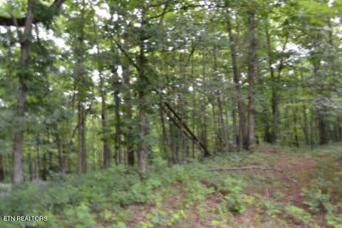 Tiny photo for 318 Rhodas Way Way, Sunbright, TN 37872 (MLS # 1348447)