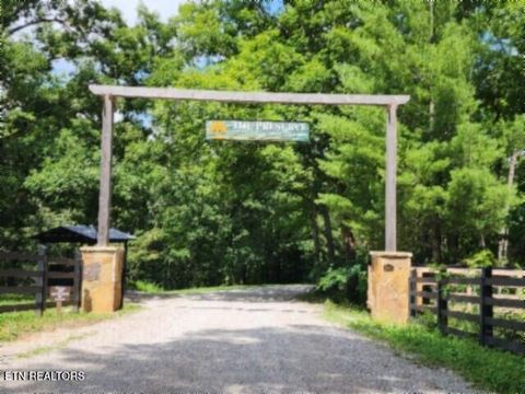 Tiny photo for 318 Rhodas Way Way, Sunbright, TN 37872 (MLS # 1348447)