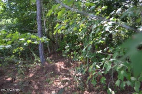 Tiny photo for 318 Rhodas Way Way, Sunbright, TN 37872 (MLS # 1348447)