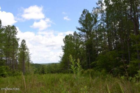 Tiny photo for 318 Rhodas Way Way, Sunbright, TN 37872 (MLS # 1348447)