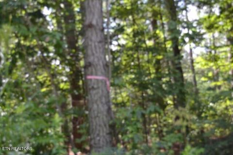 Tiny photo for 318 Rhodas Way Way, Sunbright, TN 37872 (MLS # 1348447)