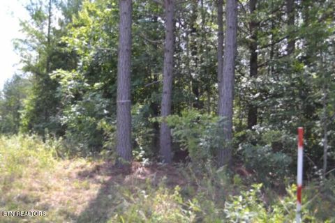 Tiny photo for 318 Rhodas Way Way, Sunbright, TN 37872 (MLS # 1348447)