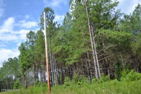 Tiny photo for 318 Rhodas Way Way, Sunbright, TN 37872 (MLS # 1348447)