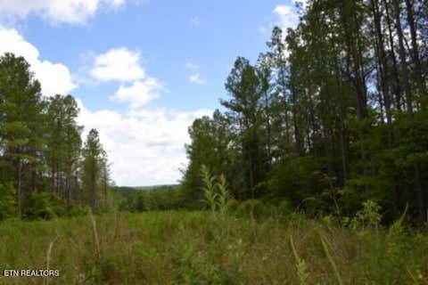 Tiny photo for 318 Rhodas Way Way, Sunbright, TN 37872 (MLS # 1348447)