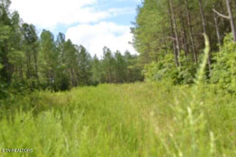 Tiny photo for 318 Rhodas Way Way, Sunbright, TN 37872 (MLS # 1348447)