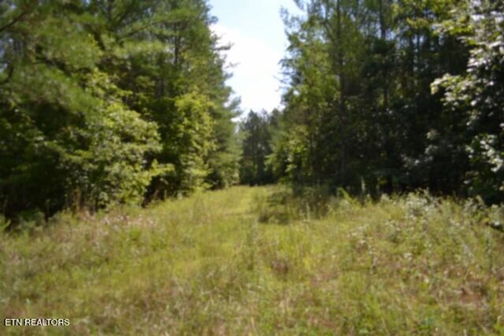 Photo of 318 Rhodas Way Way, Sunbright, TN 37872 (MLS # 1348447)