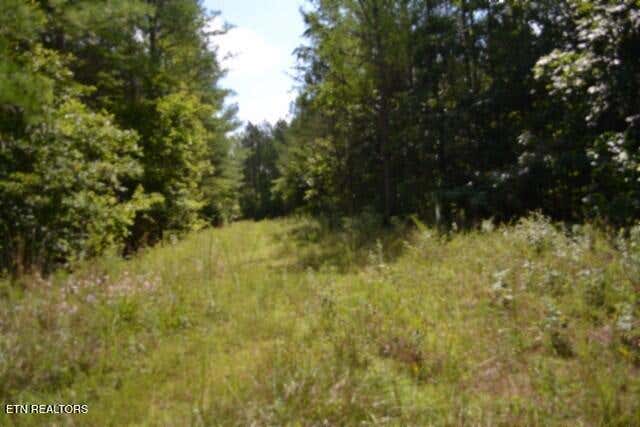 Photo of 318 Rhodas Way Way, Sunbright, TN 37872 (MLS # 1348447)