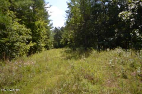 Tiny photo for 318 Rhodas Way Way, Sunbright, TN 37872 (MLS # 1348447)