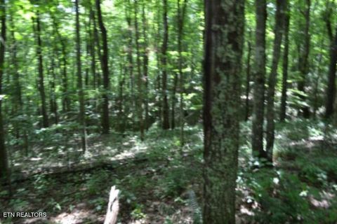 Tiny photo for 318 Rhodas Way Way, Sunbright, TN 37872 (MLS # 1348447)