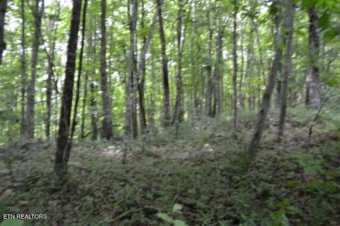 Tiny photo for 318 Rhodas Way Way, Sunbright, TN 37872 (MLS # 1348447)