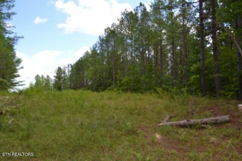 Tiny photo for 318 Rhodas Way Way, Sunbright, TN 37872 (MLS # 1348447)