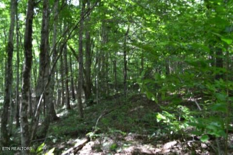 Tiny photo for 318 Rhodas Way Way, Sunbright, TN 37872 (MLS # 1348447)