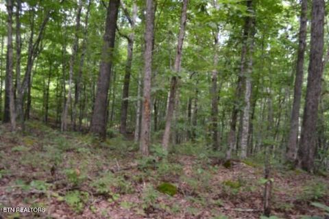 Tiny photo for 318 Rhodas Way Way, Sunbright, TN 37872 (MLS # 1348447)