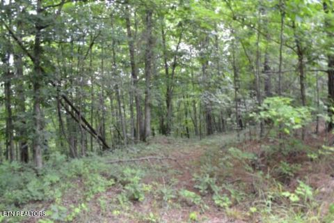 Tiny photo for 318 Rhodas Way Way, Sunbright, TN 37872 (MLS # 1348447)