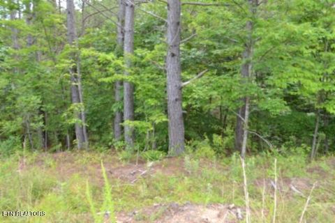 Tiny photo for 318 Rhodas Way Way, Sunbright, TN 37872 (MLS # 1348447)