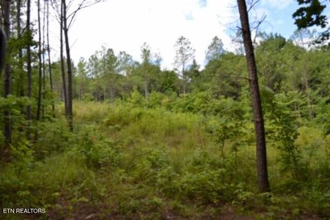 Tiny photo for 318 Rhodas Way Way, Sunbright, TN 37872 (MLS # 1348447)