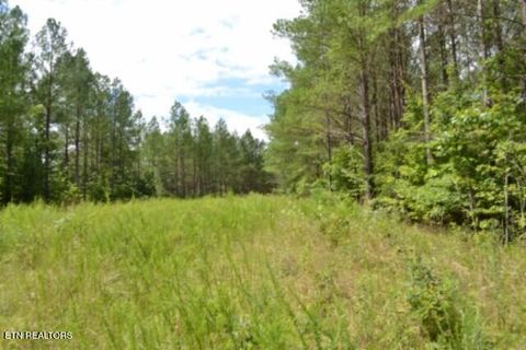 Tiny photo for 318 Rhodas Way Way, Sunbright, TN 37872 (MLS # 1348447)