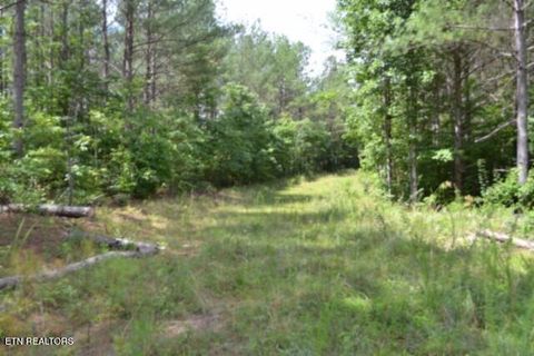 Tiny photo for 318 Rhodas Way Way, Sunbright, TN 37872 (MLS # 1348447)