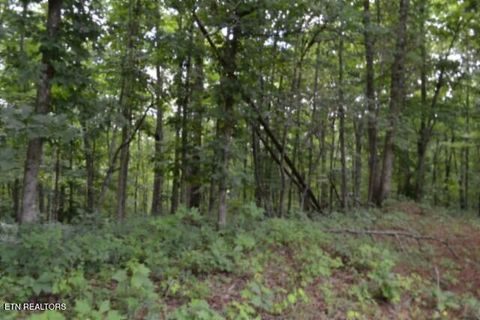 Tiny photo for 318 Rhodas Way Way, Sunbright, TN 37872 (MLS # 1348447)