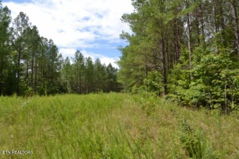 Tiny photo for 318 Rhodas Way Way, Sunbright, TN 37872 (MLS # 1348447)
