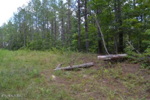Tiny photo for 318 Rhodas Way Way, Sunbright, TN 37872 (MLS # 1348447)