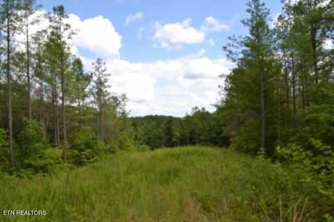Tiny photo for 318 Rhodas Way Way, Sunbright, TN 37872 (MLS # 1348447)